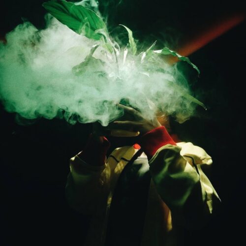 The Rise in Popularity: Why Disposable Vapes Are Taking Over the Market